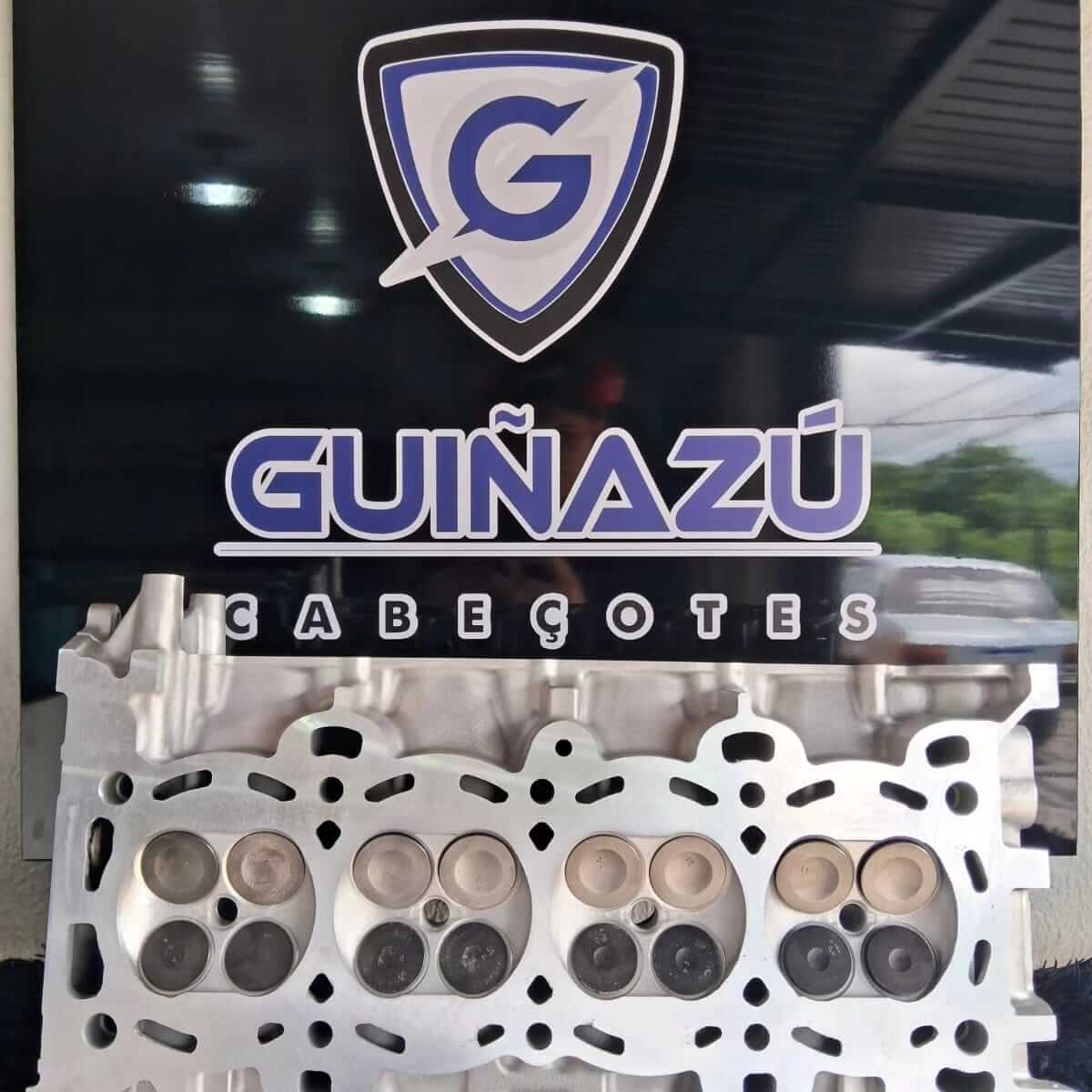 guinazu 08 comprimida.jpg